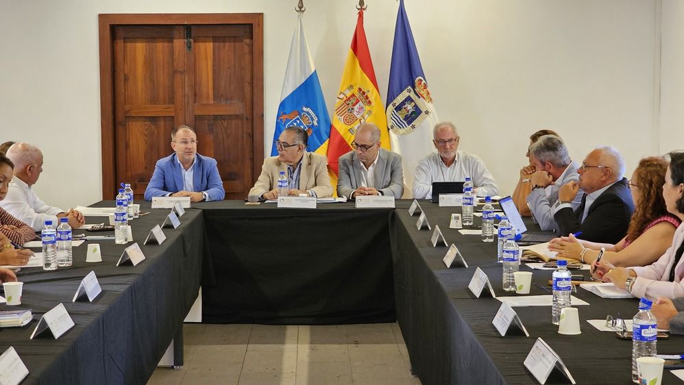 El CES celebra el primer pleno en La Palma para apoyar alas instituciones en la reconstrucción de la isla