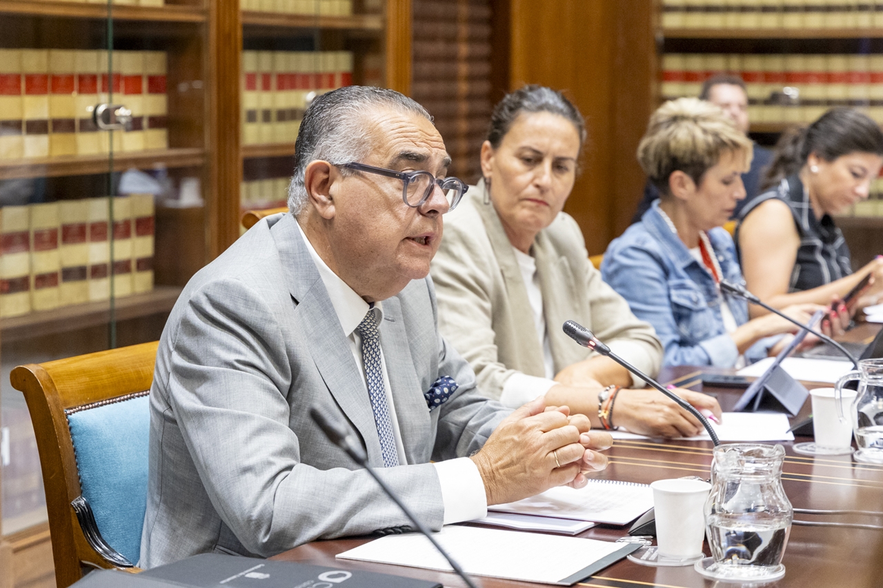 El Presidente del CES comparece ante la Comisión de Economía, Industria y Comercio del Parlamento de Canarias