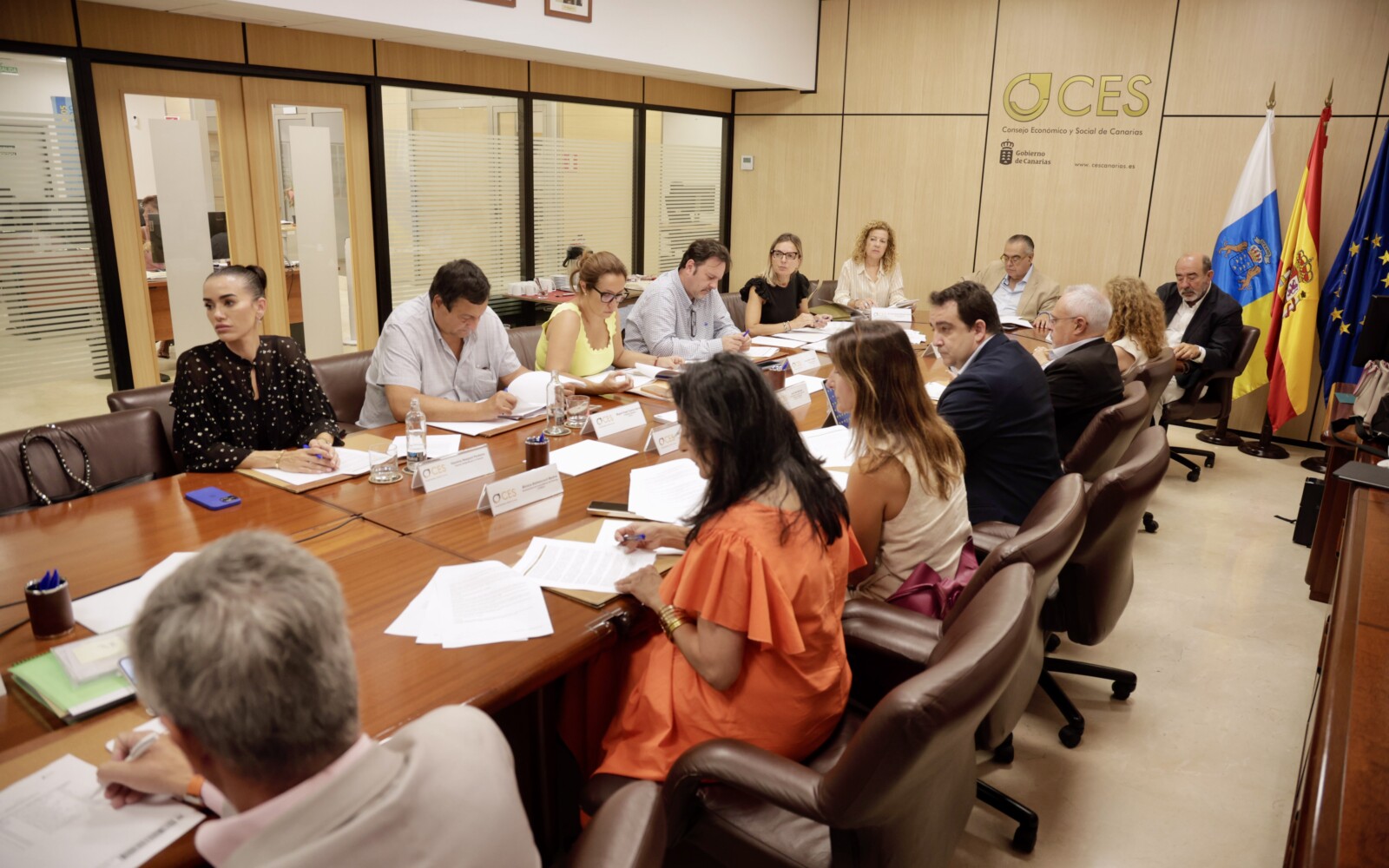 El Consejo Económico y Social presenta el Informe sobre la Simplificación administrativa para afrontar la emergencia energética