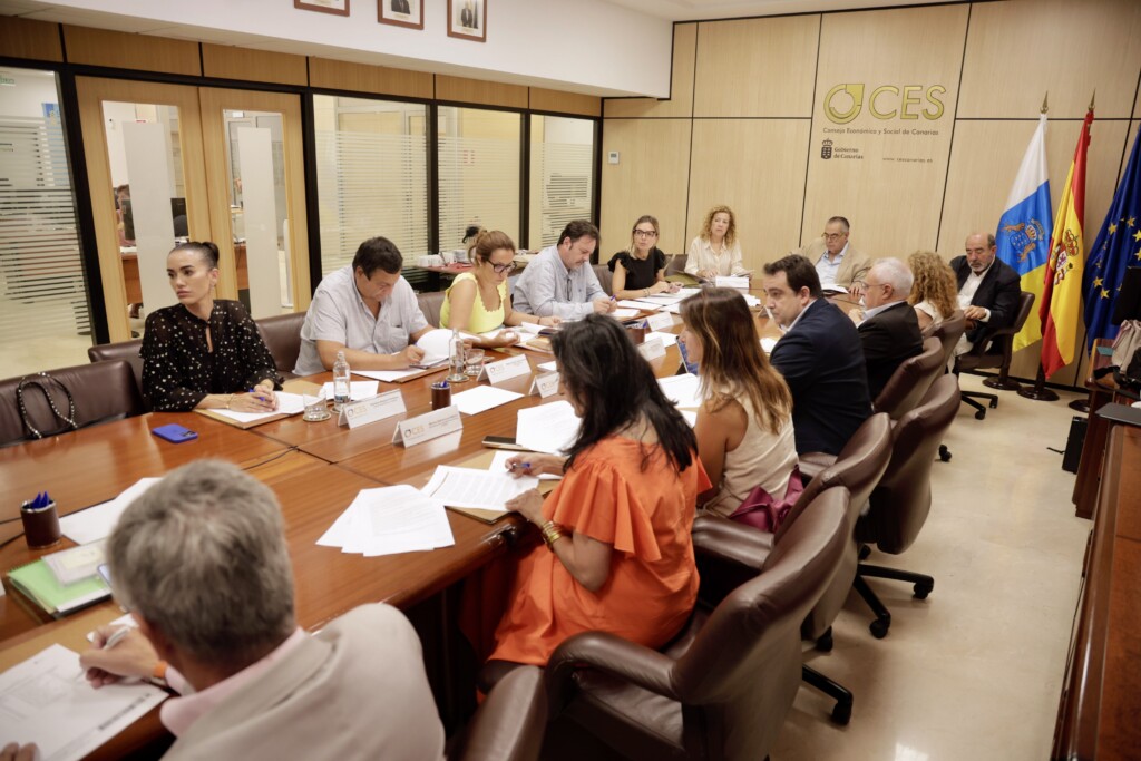 El CES avala la Ley de Movilidad Sostenible de Canarias y pide adaptar la regulación a la realidad como territorio fragmentado